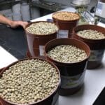 Espresso Costs Eager to Surge Amid Provide Chain Disruptions