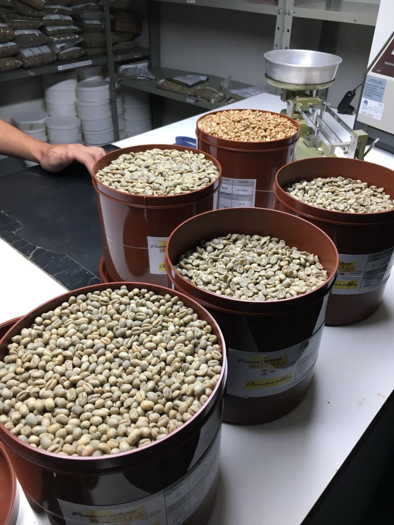 Espresso Costs Eager to Surge Amid Provide Chain Disruptions Espresso Costs Eager to Surge Amid Provide Chain Disruptions