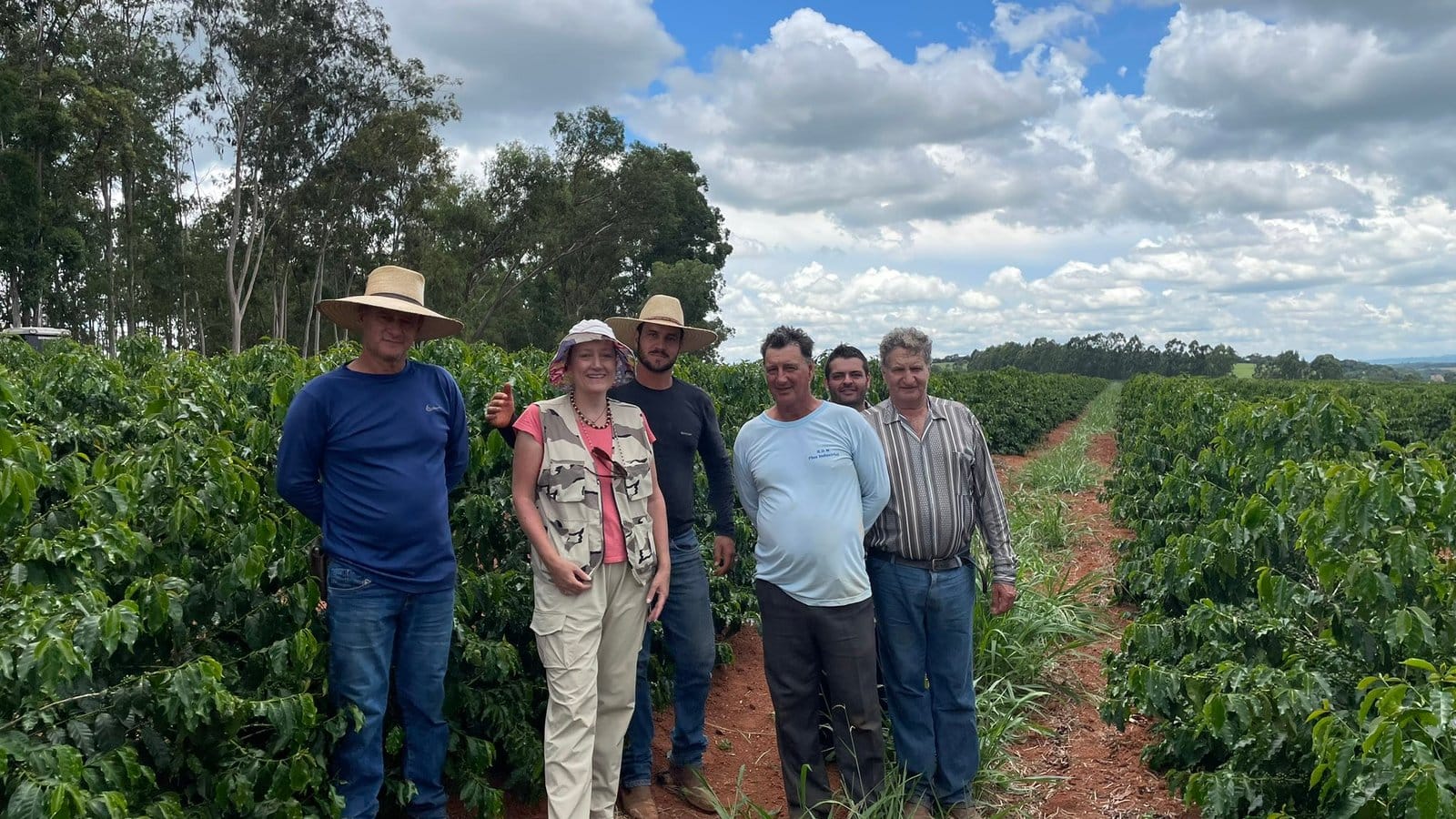 The International Faces a Espresso Catastrophe: Brazil’s 2025 Arabica Harvest May just Be the Smallest in A long time