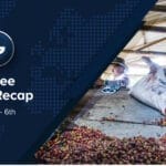 Espresso Information Recap, 6 Dec: Espresso costs reduce next attaining ancient highs, EU Council confirms EUDR extend however rejects “no risk” division & alternative tales