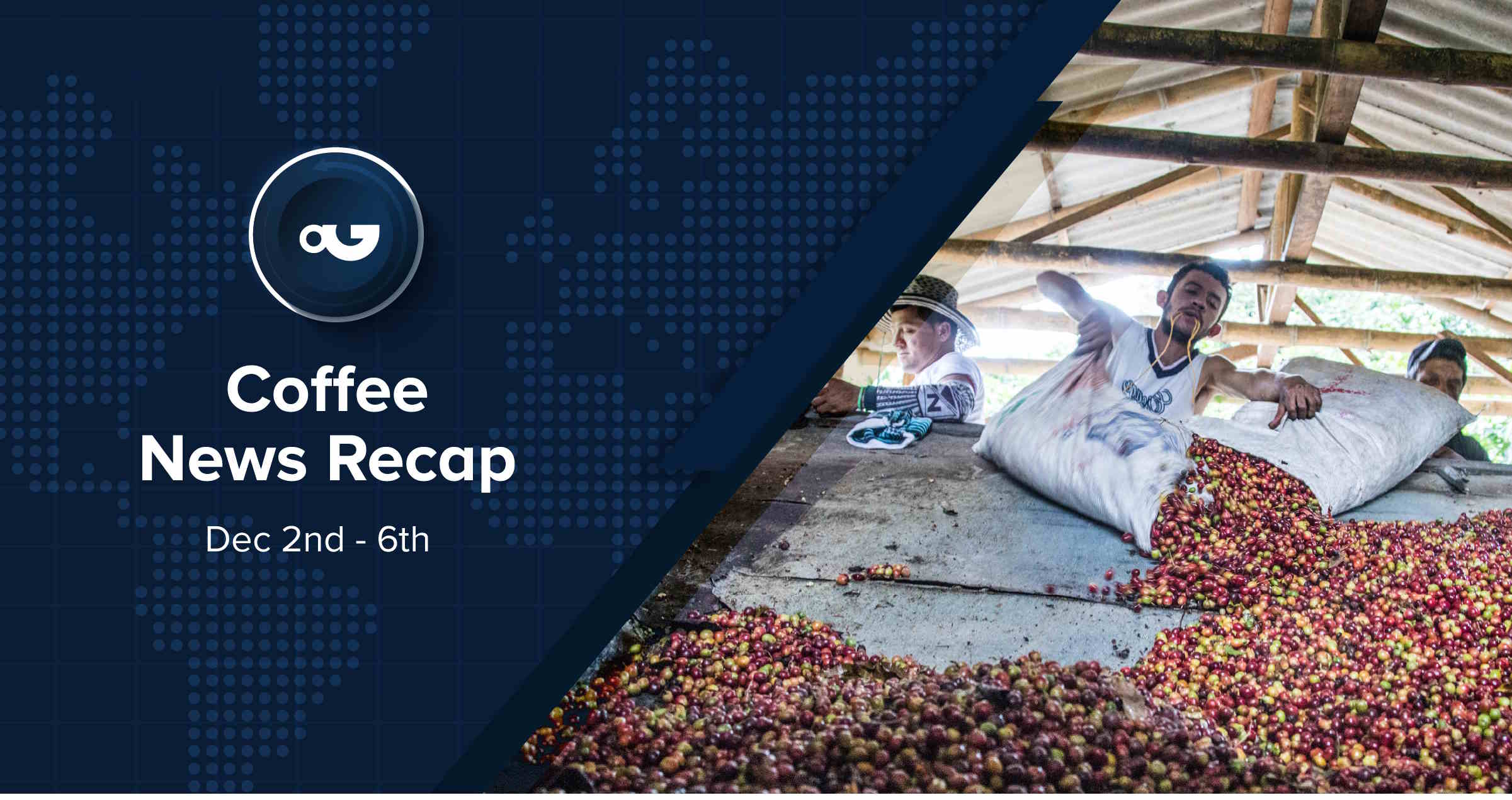 Espresso Information Recap, 6 Dec: Espresso costs reduce next attaining ancient highs, EU Council confirms EUDR extend however rejects “no risk” division & alternative tales