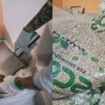 Roasters wish to do extra to drop inexperienced espresso packaging wastefulness