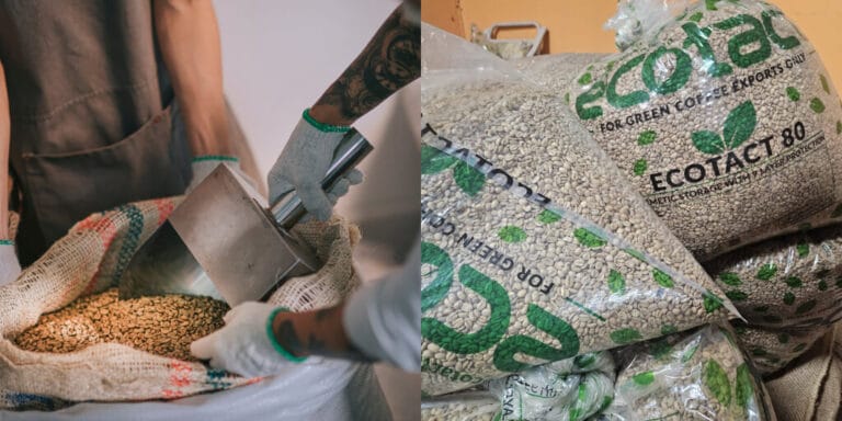 Roasters wish to do extra to drop inexperienced espresso packaging wastefulness