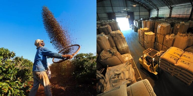 The C worth is over US /lb: Why marketplace volatility received’t decelerate in 2025