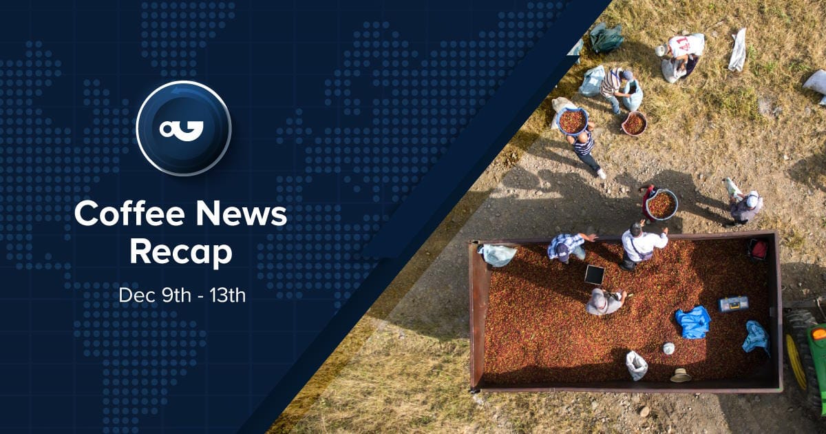 Espresso Information Recap, 13 Dec: Arabica futures achieve all-time prime as Volcafe reduces Brazil estimates, Colombia’s espresso manufacturing rises 20% in 2024 & alternative tales