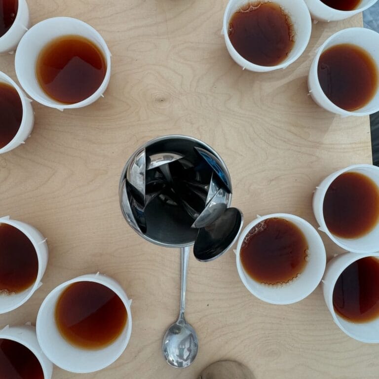 FDA Approves Coffee with Less Than Five Calories as ‘Healthy’