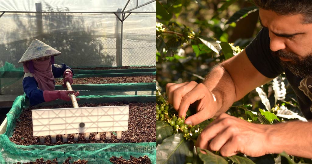 How honey processing is evolving How honey processing is evolving