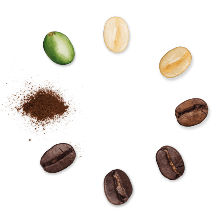 Unlocking the Potential of Coffee Circular Economy: A Path to Global Sustainability