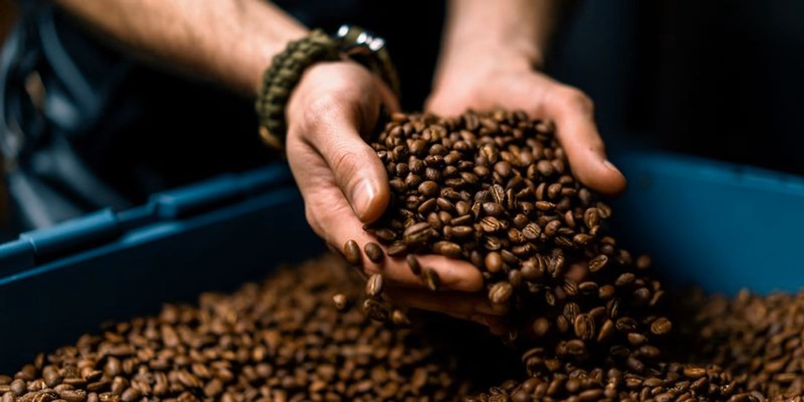 Coffee Industry Commits  Million to Secure Sustainable Supplies