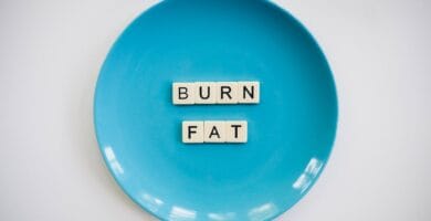 The Science Behind Fat Oxidation: The Key to Weight Loss The Science Behind Fat Oxidation: The Key to Weight Loss