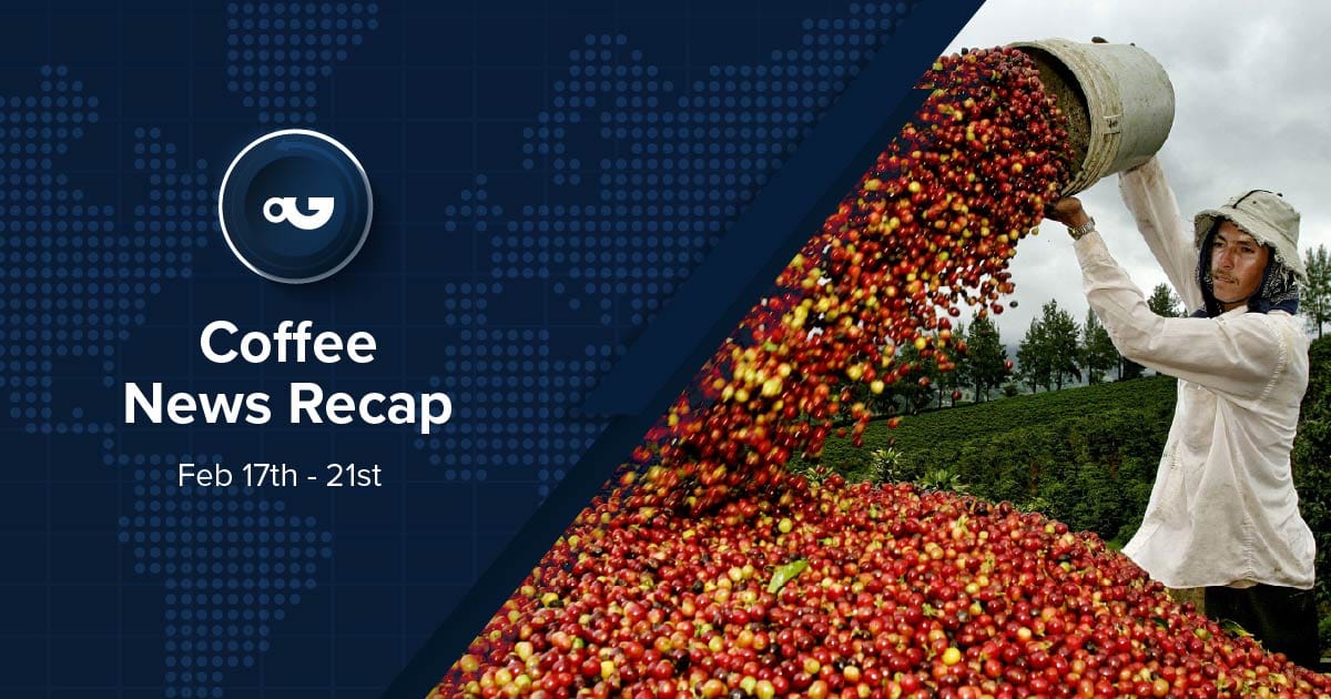 Coffee News Recap, 21 Feb: Arabica futures expected to drop 30% by end of 2025, Starbucks aims to open 500 stores in the Middle East & other stories