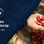 Coffee News Recap, 28 Feb: Arabica futures drop below US /lb but remain high, Starbucks to cut over 1,100 corporate jobs