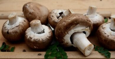 Going Green: Why Natural Ingredients are the Future of Personal Care Products