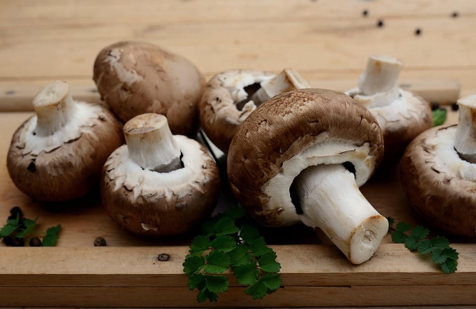 Going Green: Why Natural Ingredients are the Future of Personal Care Products