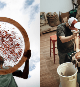 How high could coffee prices go – and what would it mean for the industry?