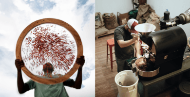 How high could coffee prices go – and what would it mean for the industry?