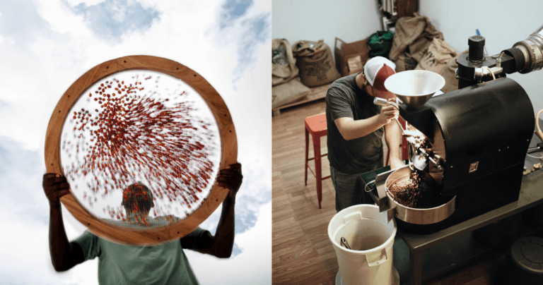 How high could coffee prices go – and what would it mean for the industry?