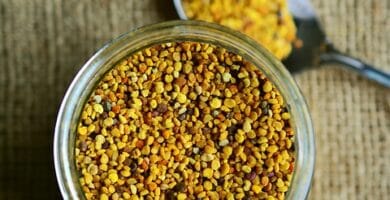 Navigating the World of Nutritional Supplements: A Guide for Consumers