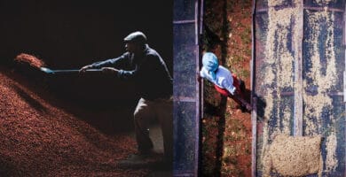 Roasters now have to compete on more than just price