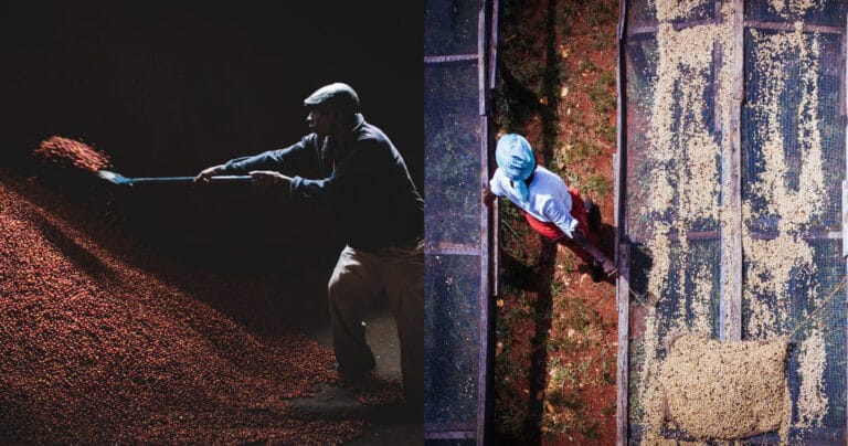 Roasters now have to compete on more than just price