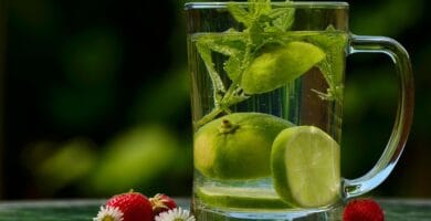 Top Herbal Detoxes for a Healthier You
