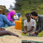 Why direct trade is about more than ethical business practices