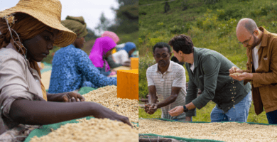 Why direct trade is about more than ethical business practices