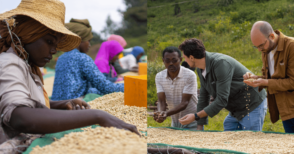 Why direct trade is about more than ethical business practices