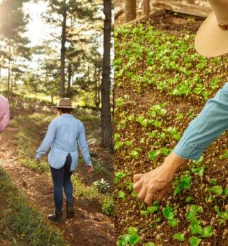 Why long-term partnerships are essential for roasters’ success