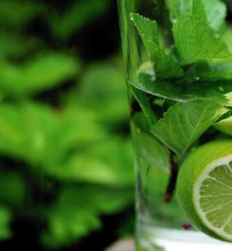 Detox Naturally with Herbal Remedies: Tips and Tricks for a Successful Cleanse