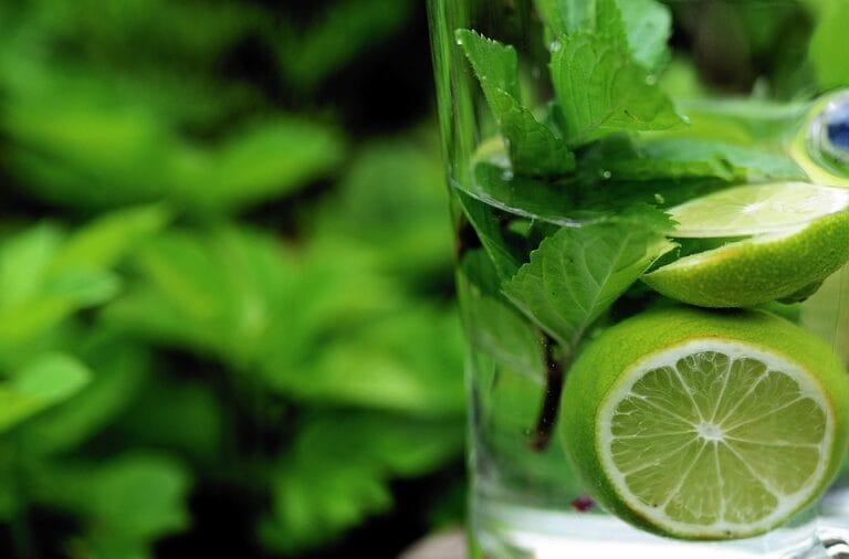 Detox Naturally with Herbal Remedies: Tips and Tricks for a Successful Cleanse