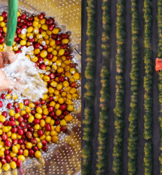 Producers are facing more challenges: Could processing innovation be a solution?