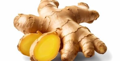 The Role of Anti-Inflammatory Agents in Preventing Disease and Promoting Longevity