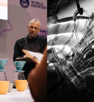 V60: A revisited brew guide