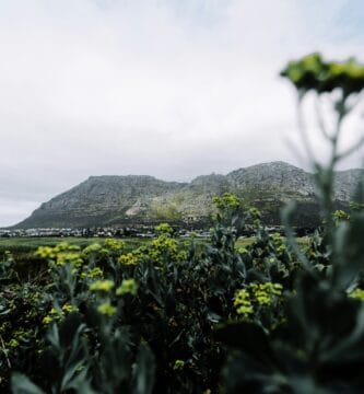 Equestrian Wellness Retreat Experience at Westerlands Equestrian Wellness Retreat Experience at Westerlands