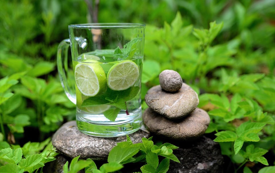 Herbal Detox: The Key To Boosting Your Immune System And Improving Your Health