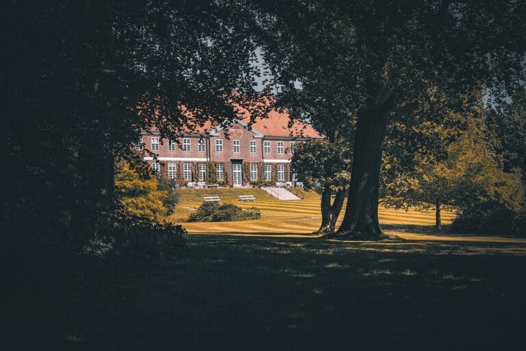 Natural Remedies vs. Medications: The Benefits of Anti-Inflammatory Alternatives