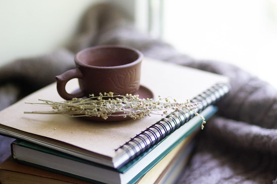 The Role of Fiber in Gut Health and Digestive Function