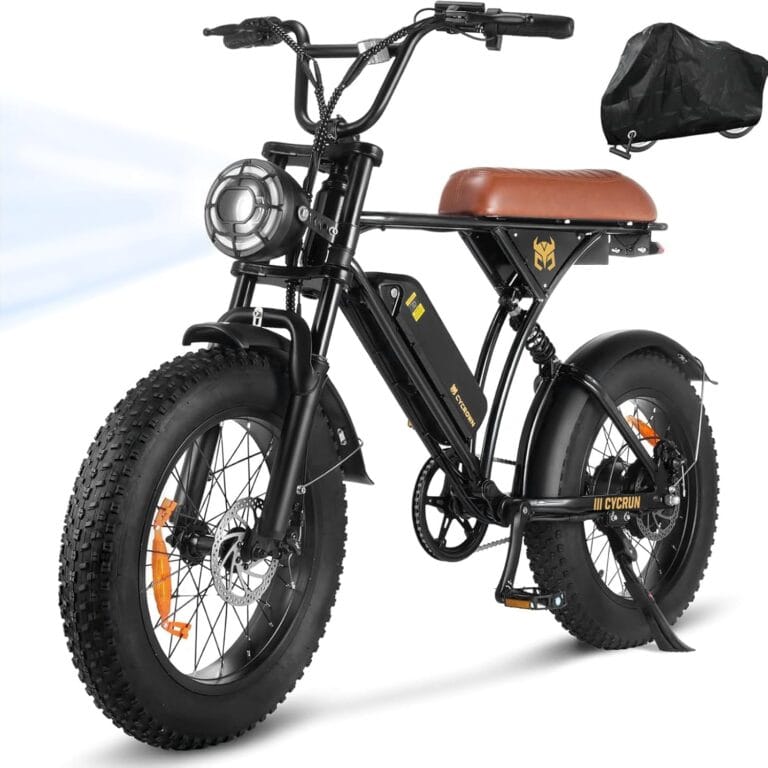 Electric Bike for Adults Review