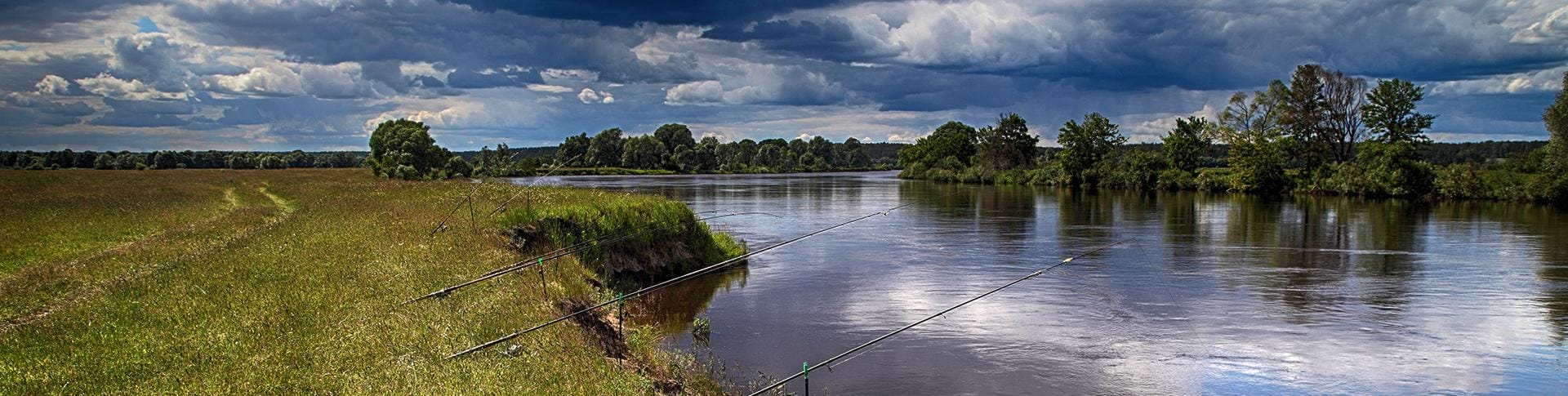 Top Wild Fishing Spots in the UK Offering Diverse Experiences