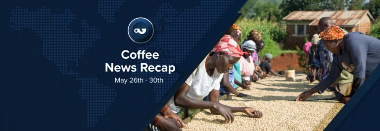 Espresso Information Recap, 30 Might: Ethiopia eager to clash report US bn in espresso export earnings, Ecu international locations request additional delays to EUDR & alternative tales