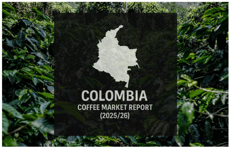 Manufacturing Decrease Predicted Amid Climate and Regulatory Volatility