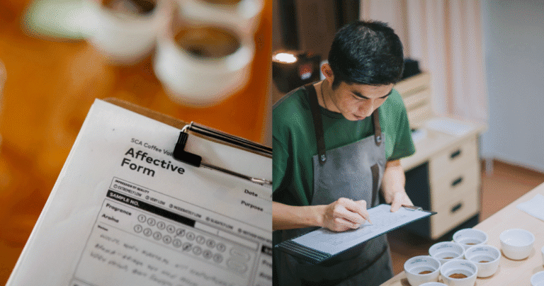 What does the espresso business take into accounts the “evolved” Q grader programme?