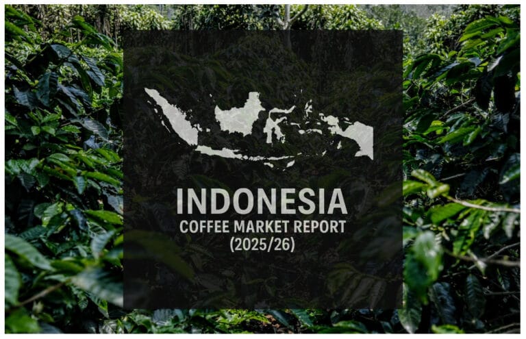 Exports Up Although Price lists and EUDR Linger