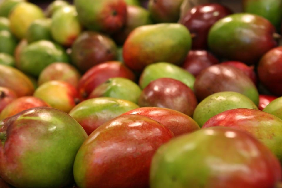 From Farm to Face: The Rise of Natural Beauty Ingredients