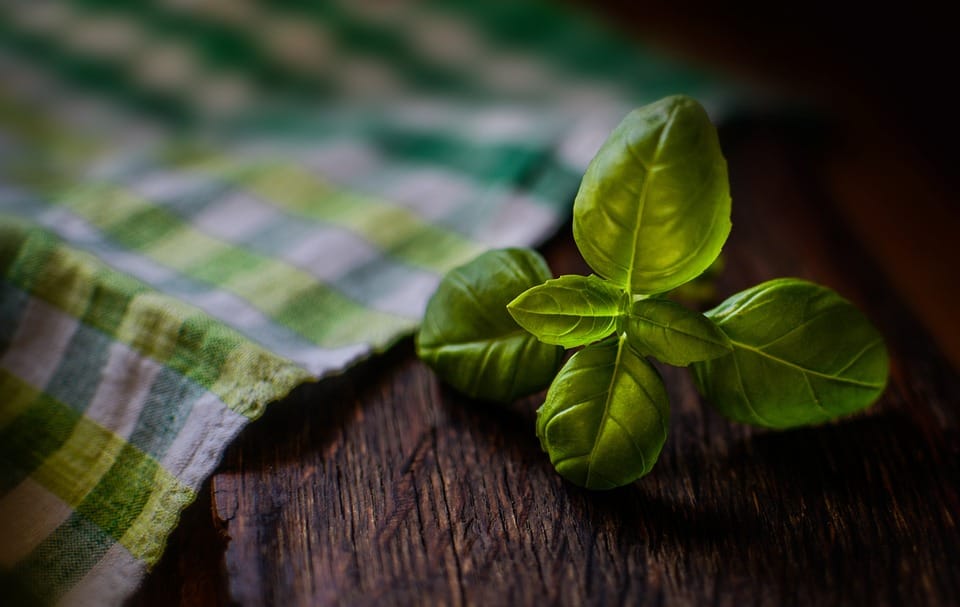 Going Green: Why Natural Ingredients are the Future of Beauty