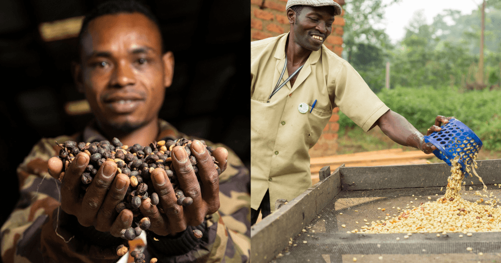 How can manufacturers power high quality in area of expertise espresso? How can manufacturers power high quality in area of expertise espresso?