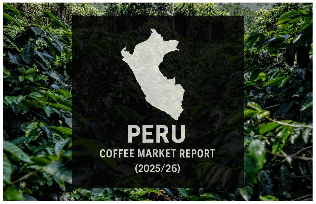 Manufacturing Rebounds as US Extra Key Purchaser