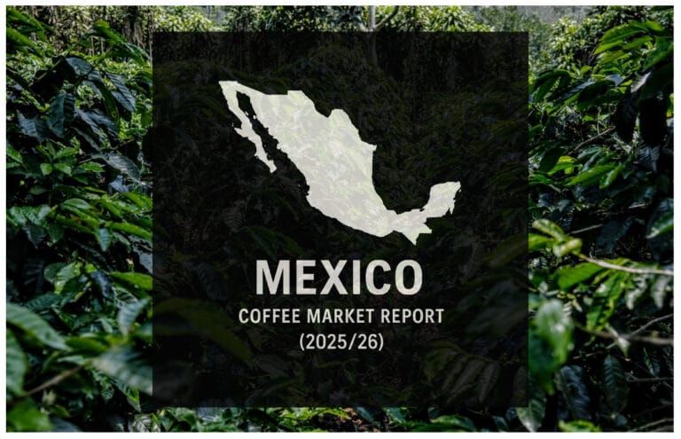 Manufacturing Up Relatively year Soluble Exports Surge