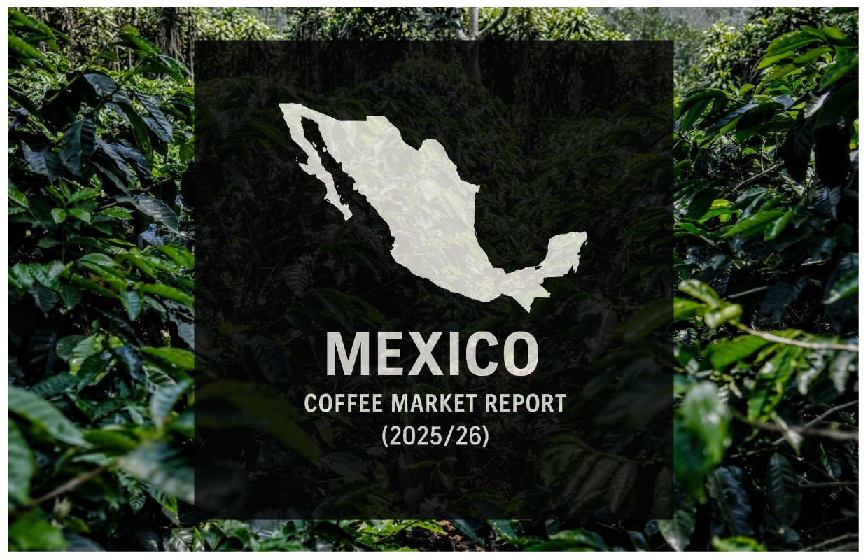 Manufacturing Up Relatively year Soluble Exports Surge